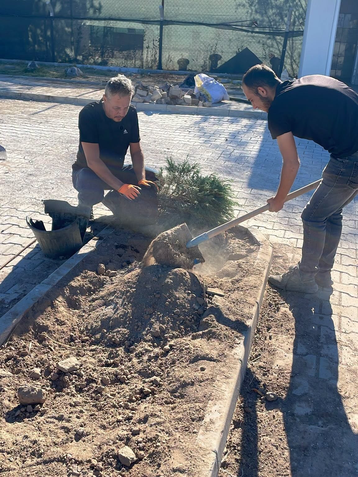Yahşihan’da Temizlik, İlaçlama ve Yeşil Alan Bakımı Aralıksız Sürüyor - 6